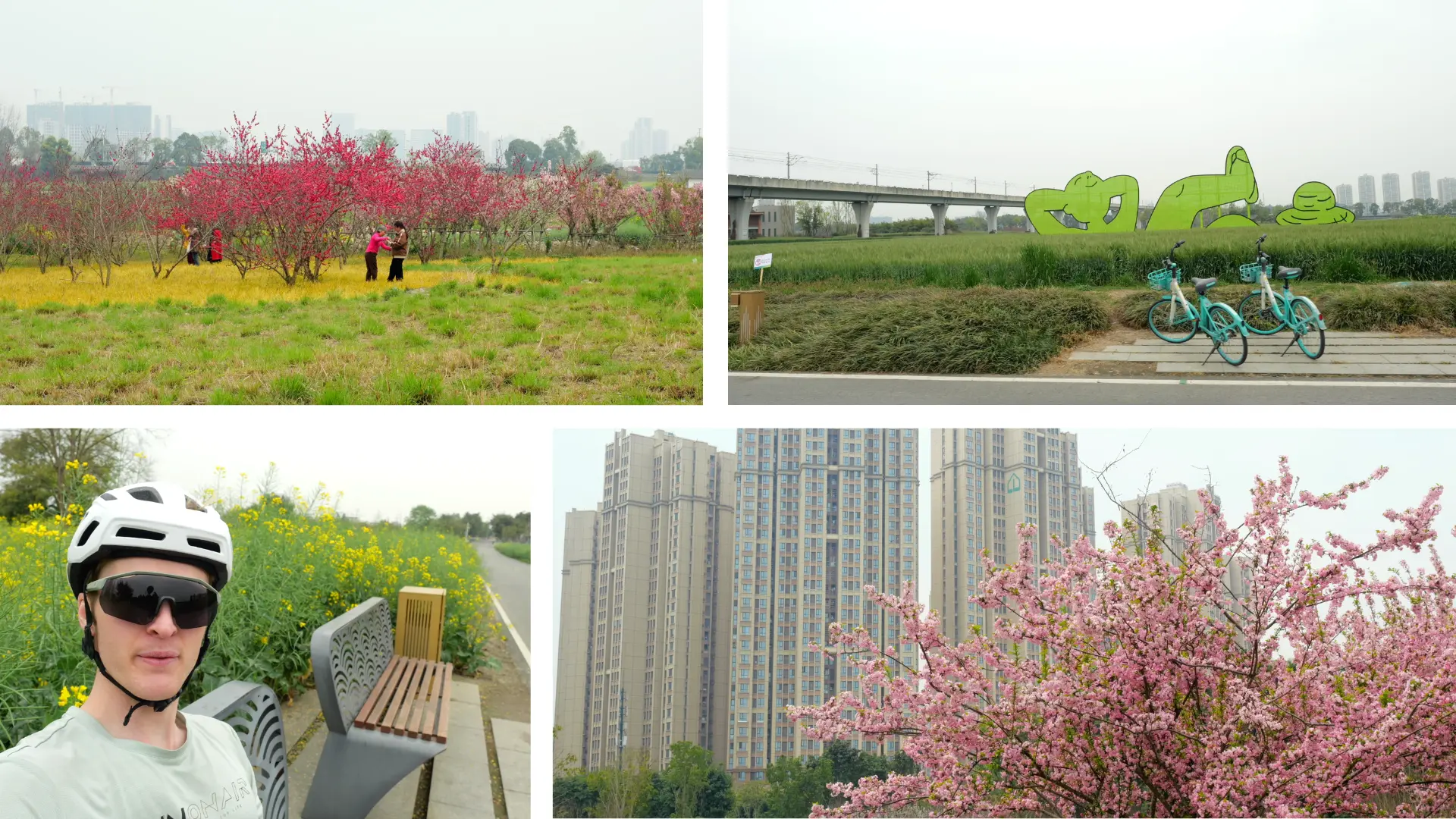 Grönt i Chengdu