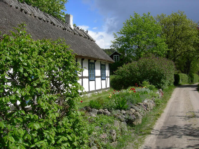By mellan Brösarps backar och havet