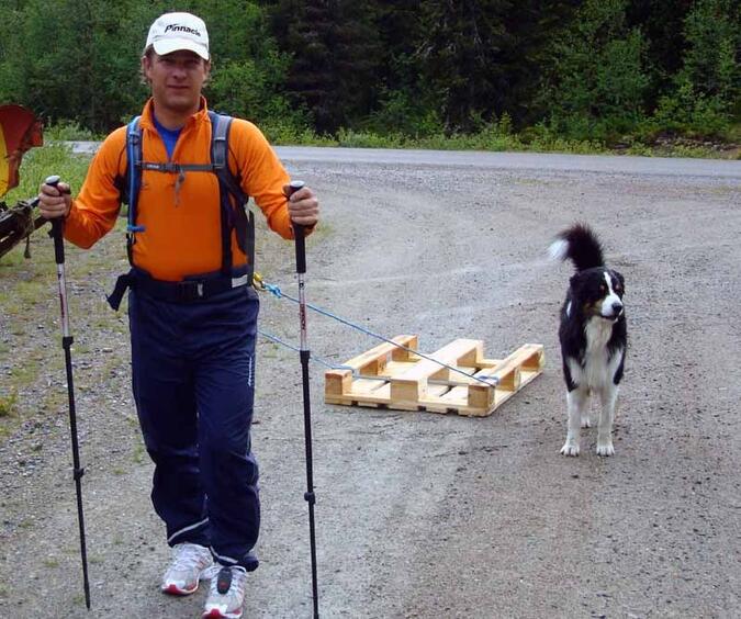 Pallträning och hunden Recco