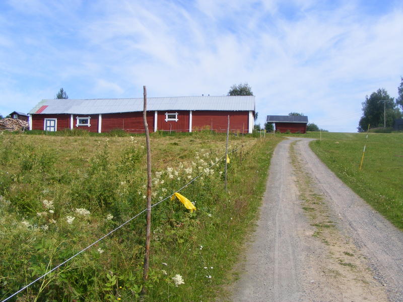 Vägen upp mot Evas hus