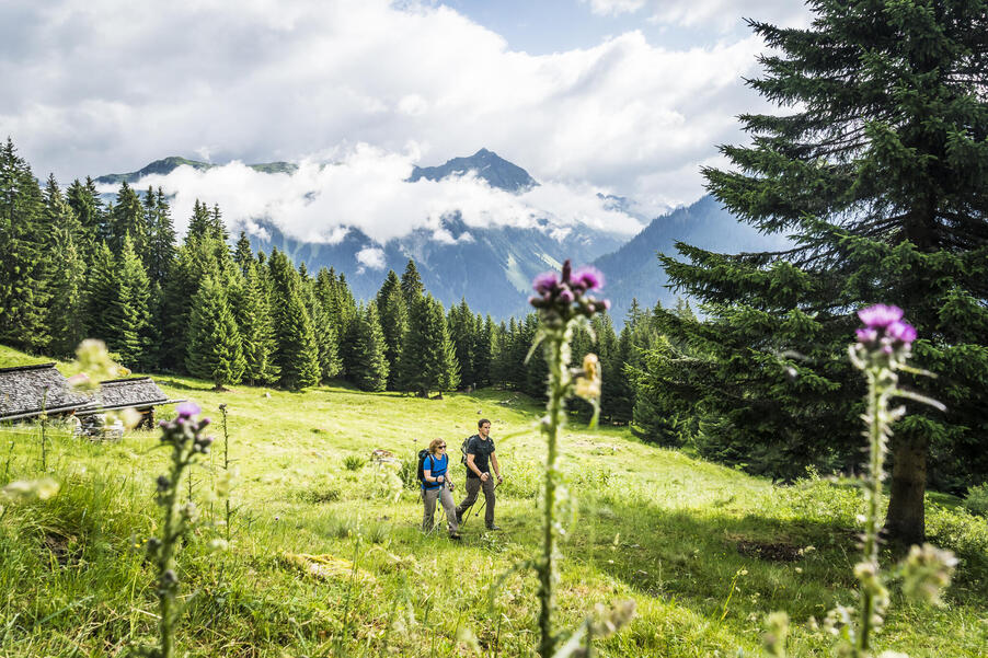 Wanderung Alpe Ganera Wanderung Alpe Ganera