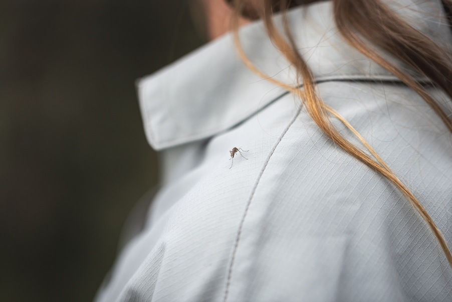 Foto: Royal Robbins En närbild på en mygga som sitter på en axel. Personen har en skjorta i ett ljust tyg på sig.