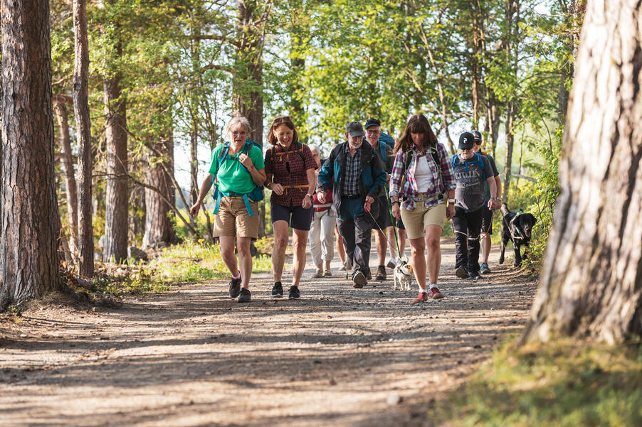 En grupp av människor vandrar på en bred vandringsled i skogen