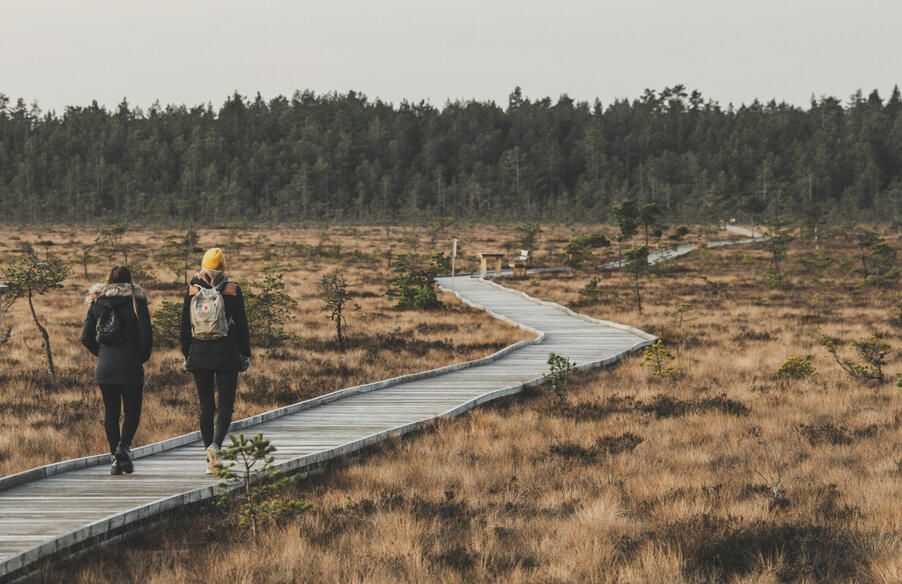 Två personer vandrar på en lång träbro över myrmark i Dumme mosse, Jönköpings kommun..