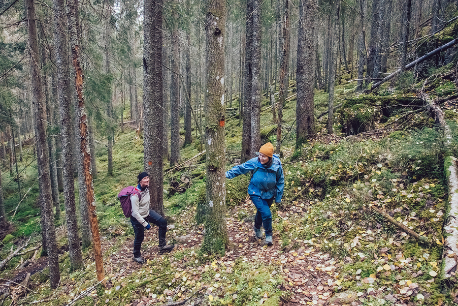 Två kvinnor vandrar uppför en brant stig i en skog.