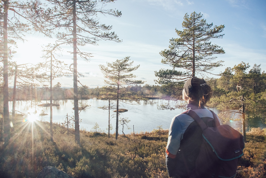 En kvinna blickar ut över en solbelyst sjö i skogen.