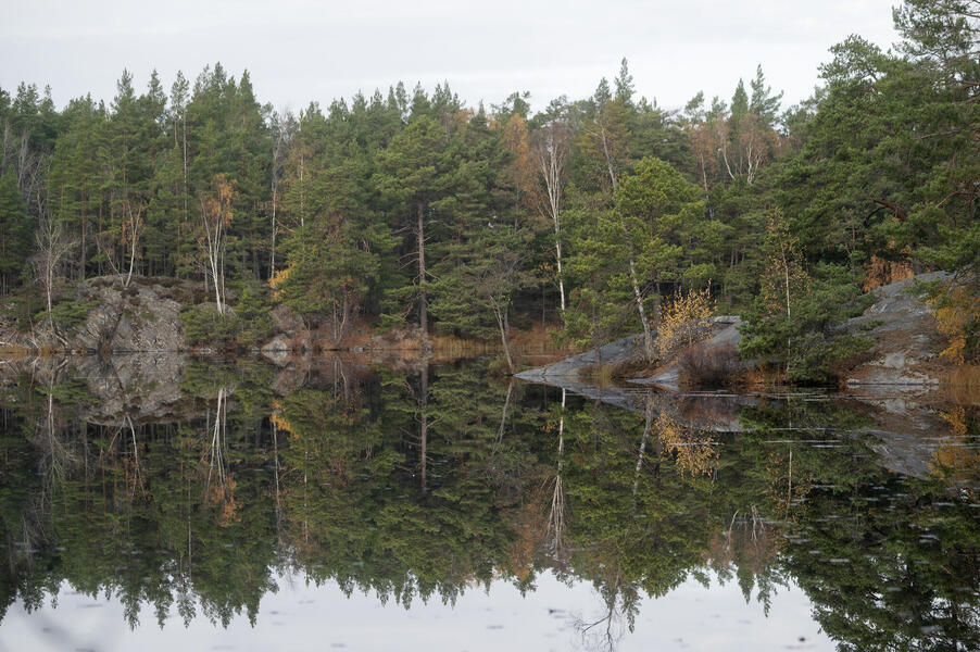 Sjö i Erstaviks naturområde.