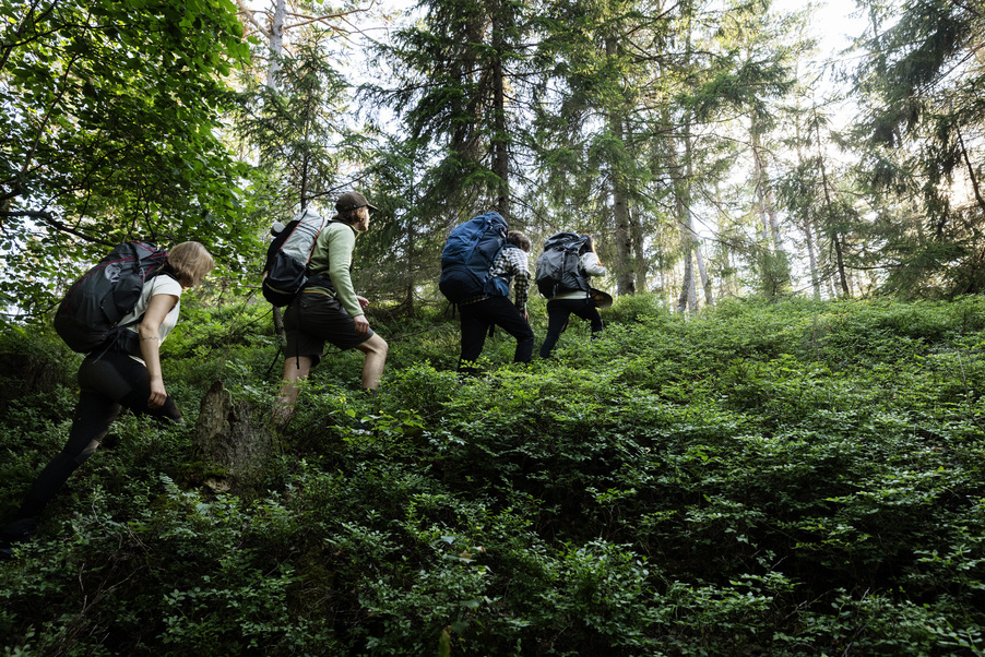 En grupp vandrare i en skog.