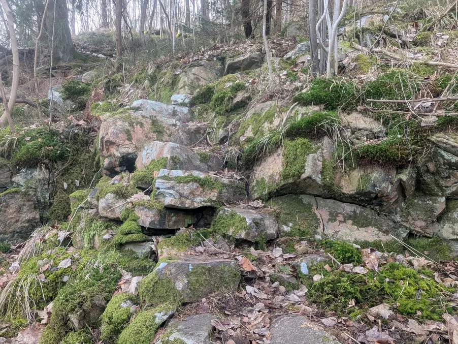 Skogstrappa längs mitt träningsvarv