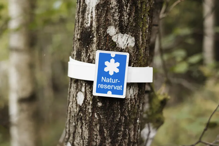 Ett träd med markeringen "naturreservat".