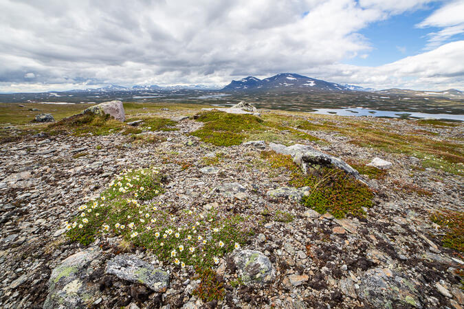 På toppen av Norra Gröndörrstöten, Helags i bakgrunden