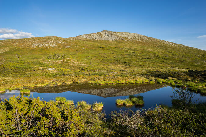 Rödsjövålen