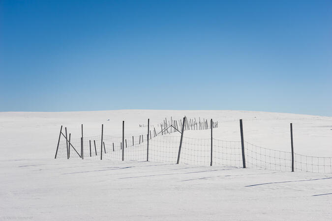 Grönfjället