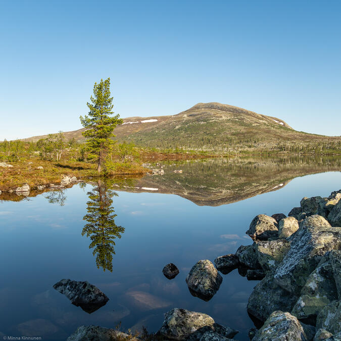 Skedbrofjället på morgonen