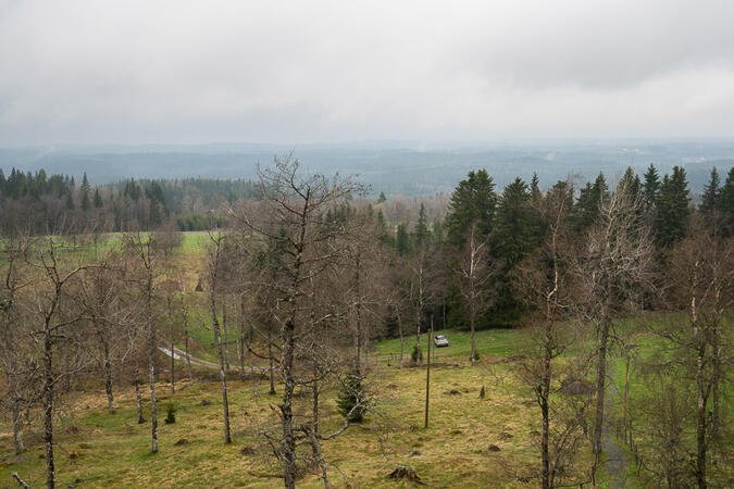 Regn i luften vid Tomtabacken