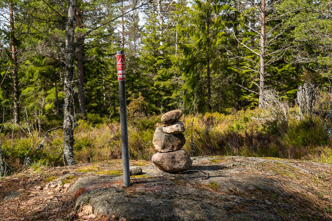 Tomasbodahöjden