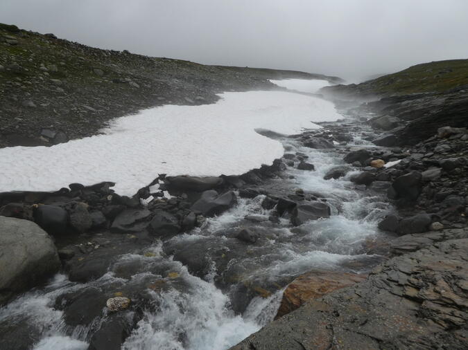 Rykande snölega vid Gasskagårså