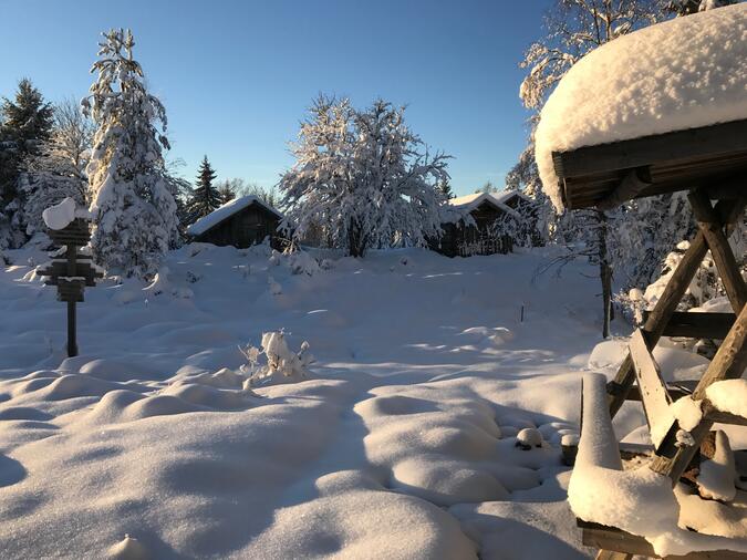 Slogbod och stugor vid Prästbodarna.