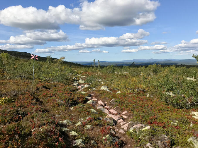 Göljåleden mot Göljåstugan