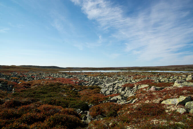 På väg från Göljådalen mot Tangsjöstugan