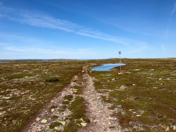 På väg på Tangsjöleden mot Särnmanstugan