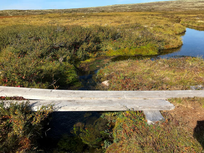 Bäck vid leden ner mot Bergådalen