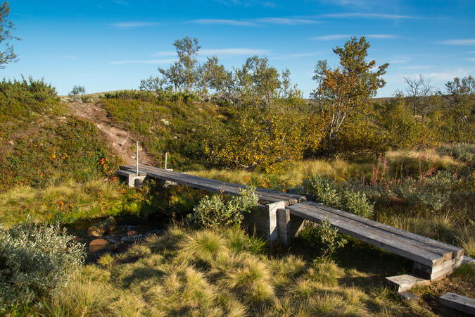 Bron vid Bergådalstugan