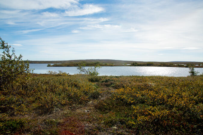 Stora Harrsjön