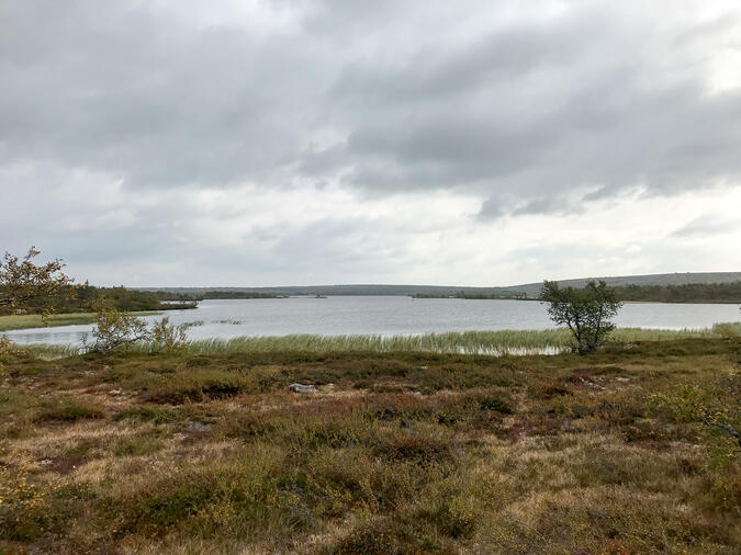 Stora Getsjön