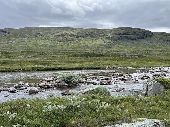 Vadet över Tjallingån