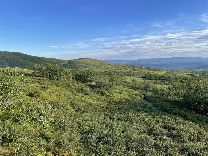 Blick bakåt mot Ullådalen och Rödkullens topp