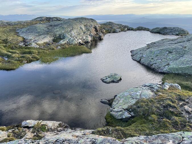 Liten göl/pöl vid Västerskutan