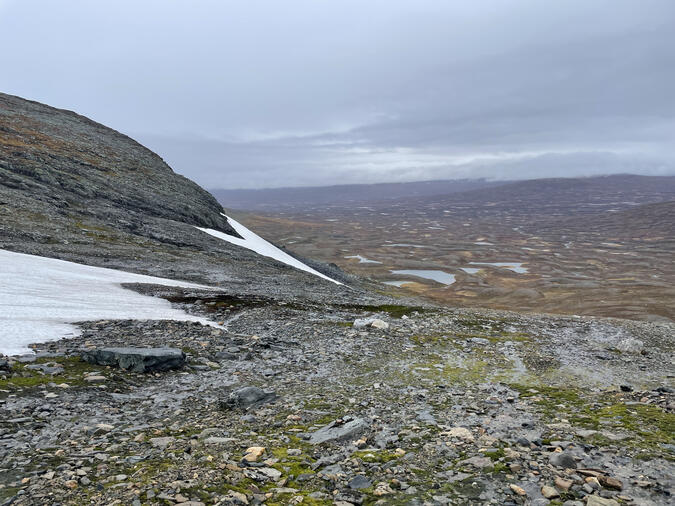 Utsikt från Ekorrhammaren mot öst Utsikt från Ekorrhammaren mot öst