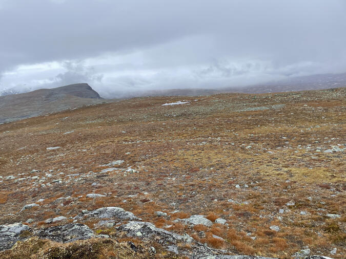 Vy bakåt mot Ekorrhammaren Vy bakåt mot Ekorrhammaren