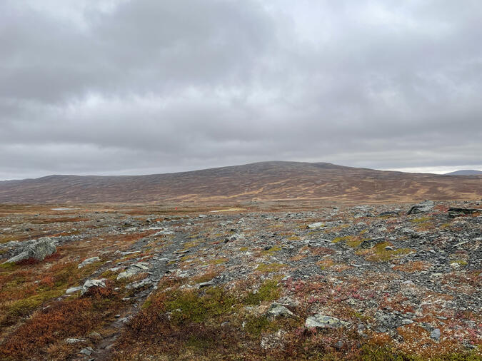 På leden mot Blåhammaren På leden mot Blåhammaren