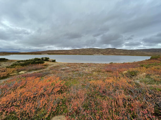 Ulvåtjärnen Ulvåtjärnen