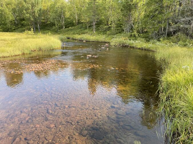 Första bron på leden innan man svänger av mot Nulltjärnarna