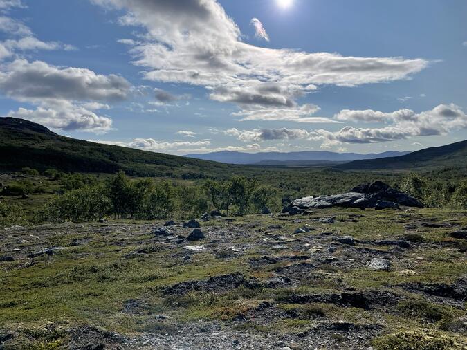 Stendalsstugorna långt där borta