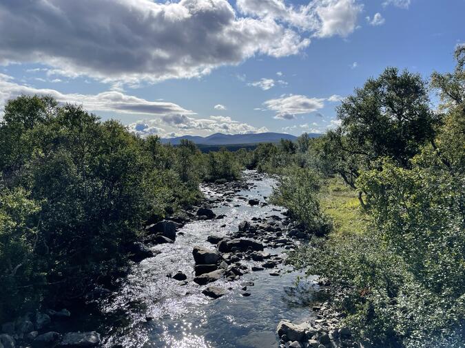 En av alla bäckar på väg mot Vålådalen