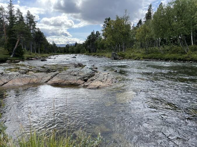Vila vid Stensån, lite större nu än tidigare på dagen