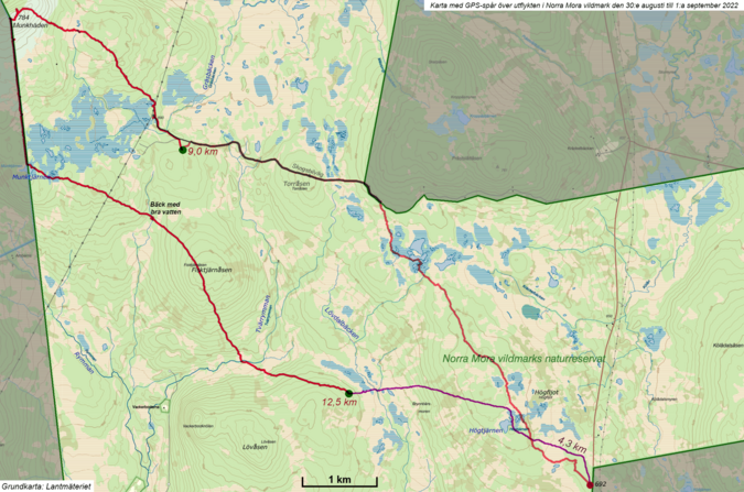 Karta över de centrala delarna av Norra Mora vildmark med GPS-spår som visar var jag vandrade. De gröna cirklarna är mina två tältplatser.