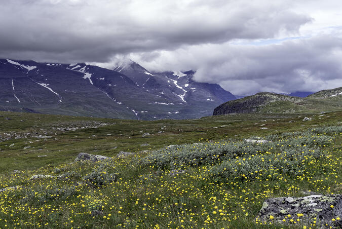 Vy mot väster från "Höga vägen".