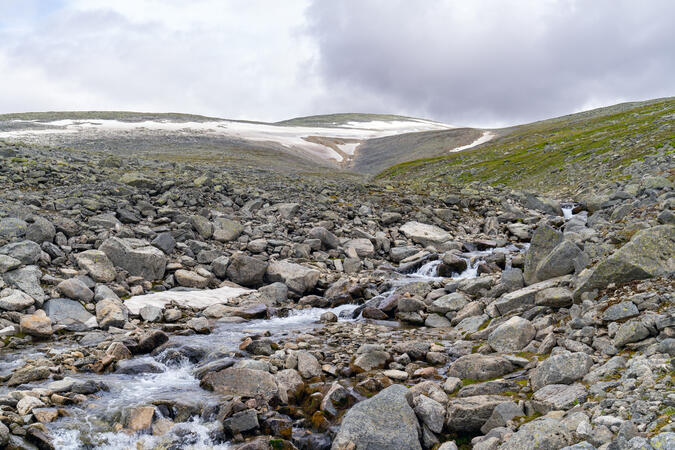 Nammásjjåhkå och Niehter. Höjd: 1125 m ö.h. Brännvidd: 35 mm.