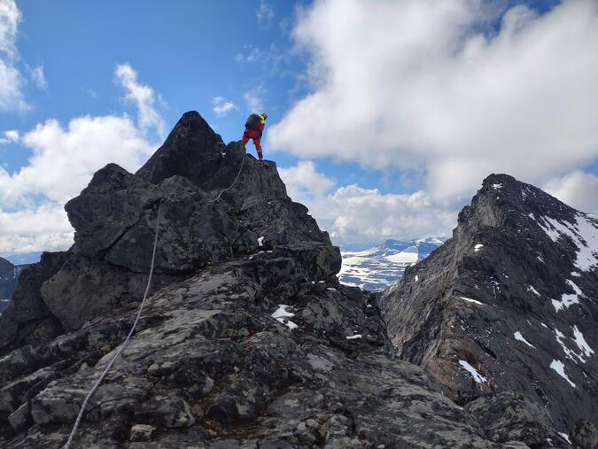 Alpin övning på Sarektjåkka. Foto: Mikael Oja En fjällräddare står på toppen av ett berg i Sarektjåkka.