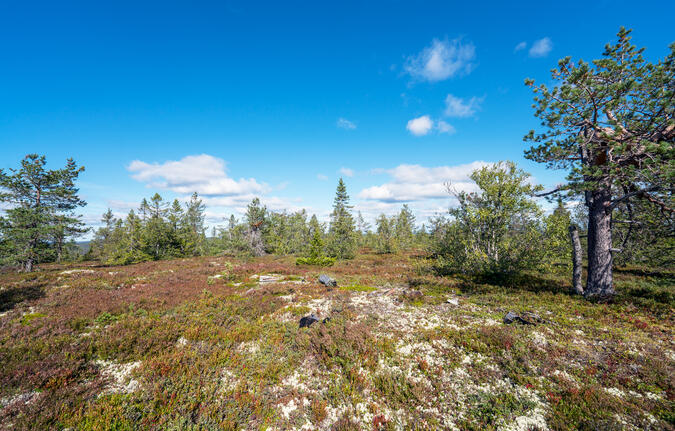 Toppen av Munkhäden.