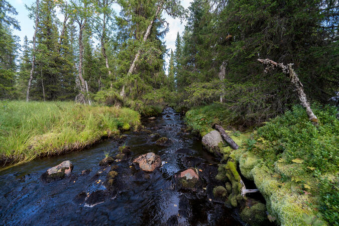 Tvärrymmans vatten når Österdalälven via Rymman och Rotnen.