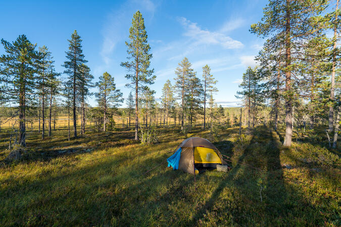 Solen är på väg ner över lägerplatsen. Myren i bakgrunden förblev solbelyst till dess solen försvunnit under horisonten.
