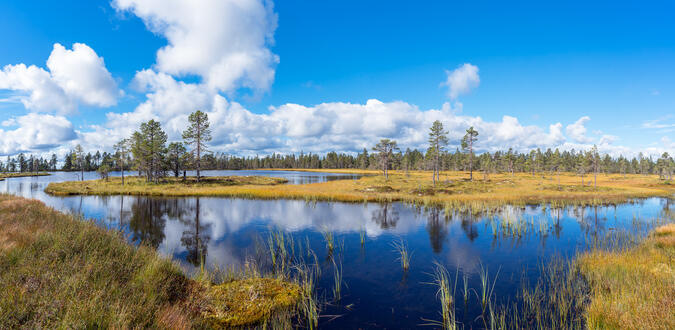 Högtjärnens östra sida.