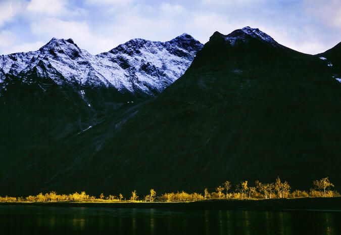 Septemberljuset lyser som en strålkastare genom Rapaselet. Ljusets skiftningar är viktiga inslag i Claes bilder. Foto: Claes Grundsten Rapaselet i Rapadalen, Sarek.