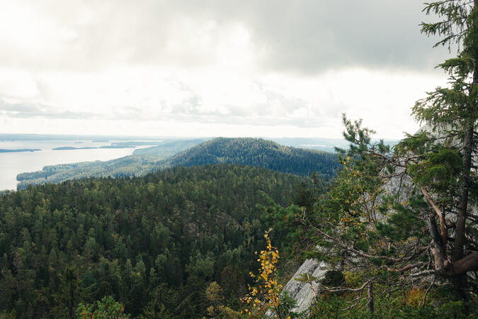 Utsikt över sjöar och skogsbeklädda berg i Koli nationalpark.